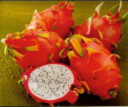 Pitaya fruit - i like Pitaya fruit