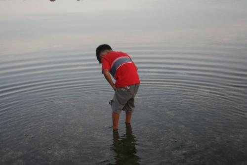 Looking for fish - A young boy watching the fish at his feet..