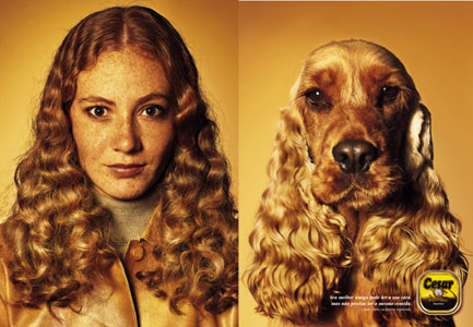 People - Comparison