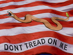 Don't Tread On Me, - Don't tread on me. 