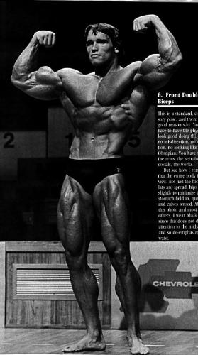 Hollywood - Arnold Schwarzenegger is an American and Austrian bodybuilder, actor, businessman, and politician, currently serving as the 38th Governor of the state of California.