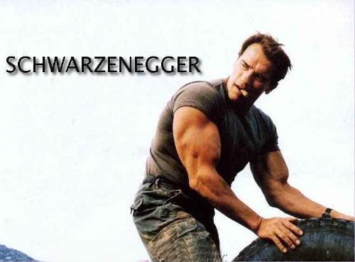 Hollywood - Arnold Schwarzenegger is an American and Austrian bodybuilder, actor, businessman, and politician, currently serving as the 38th Governor of the state of California.