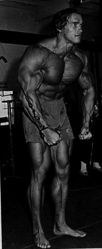 Hollywood - Arnold Schwarzenegger is an American and Austrian bodybuilder, actor, businessman, and politician, currently serving as the 38th Governor of the state of California.
