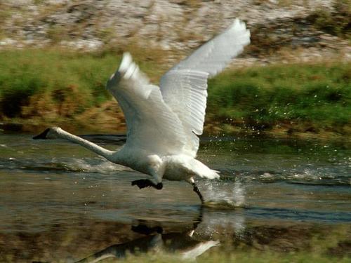 Going to Meet distination - Flying to get the destination of the life
