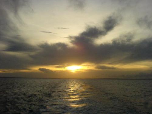 nature - nature, photo taken on the way Daanbantayan Is., gray sky