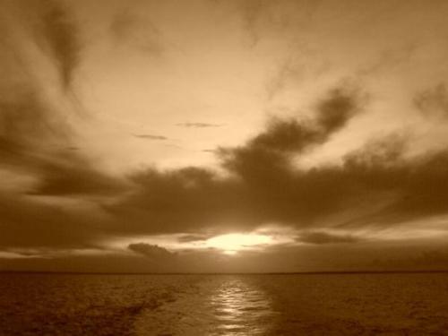 nature - black and white photo of the sky and sea