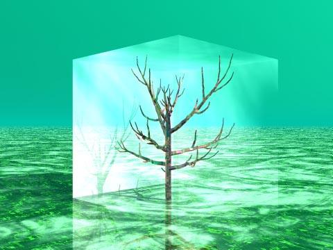 A Tree in a cube... - Tree in a cube resembles that we have to take care of the trees and plants and the environment too to protect ourselves from global warming.