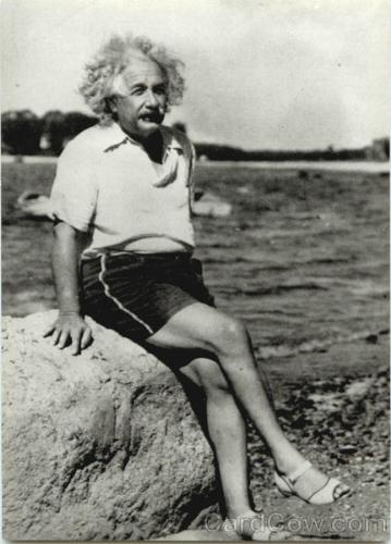 albert einstein - Albert Einstein was born at ulm, Wurttenberg, Germany, on March 14, 1879. Most noted contribution to the world is his theory of relativity.