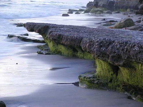 Photo courtesy PDPhoto.org - Love to hang out by the beach