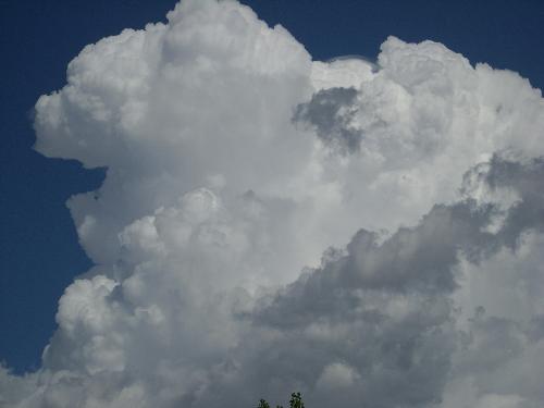 White Clouds with the Shape of a dogs face - I took this picture after seeing it on the computer noticed the shape of the dogs face. Do you see it?