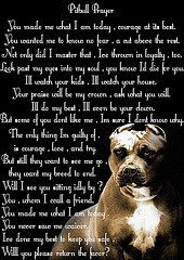 Pitbull Prayer - This is the sweetest thing ive ever read it is so true that people condem pitbulls because of their ignorance and fear towards them.