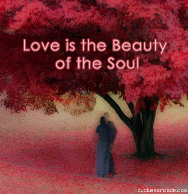 love - love is beauty of soul