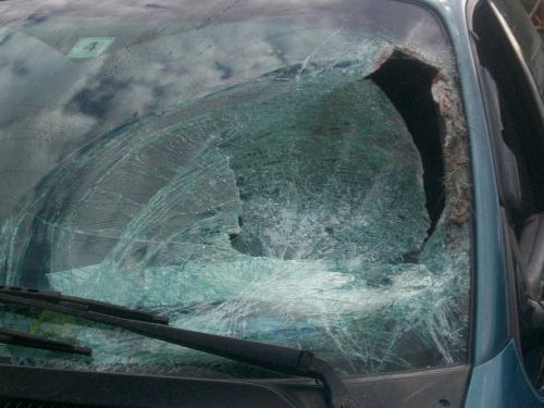 my van windshield - after hitting a moose my van windshield - after hitting a moose