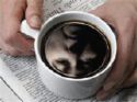 A cup of coffee -  This is a hot cup of coffee in which appears to be an image inside of the liquid in the cup.