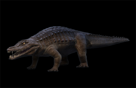 Animal - brachychampsa
