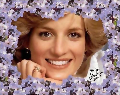 Memories  - Princess of Wales, though she died her memories have a special place in everyones heart.