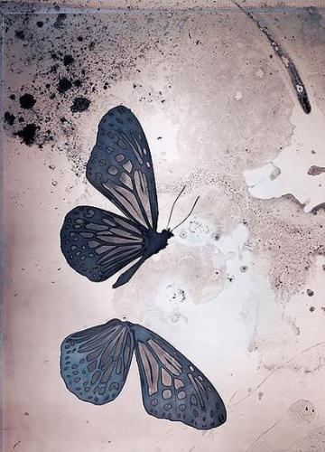 pretty butterfly... - so cute...