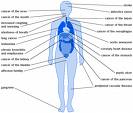 Smoking - This is what smoking does to your body.