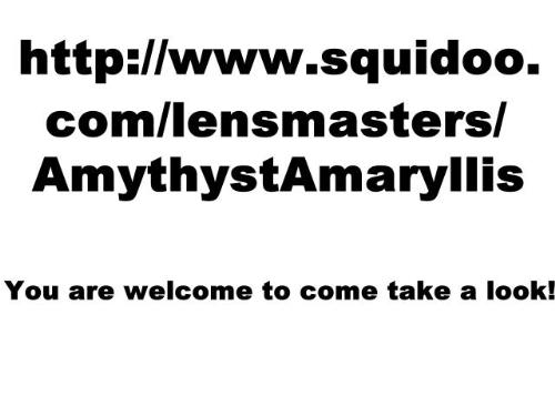 My Squidoo - My Squidoo lensmaster address.