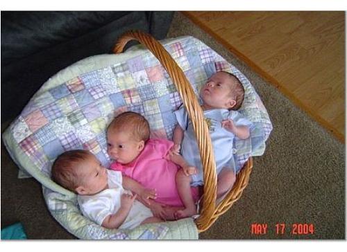 triplets in a basket - triplets in a basket, babies in a round basket, three babies in a basket