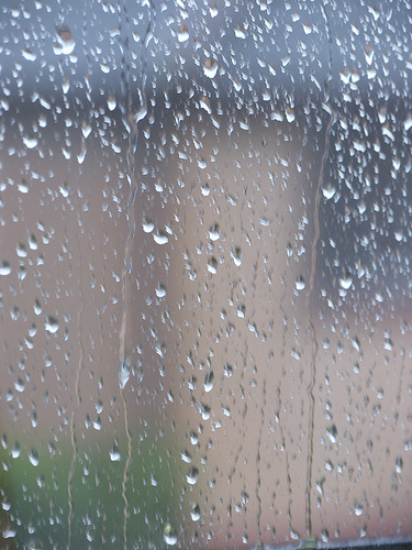 Rain on the window.  - Rain drops on the house window