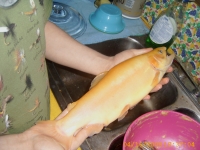 outdoors - the fish i catch
