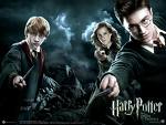 harry potter - i love to see harry potter