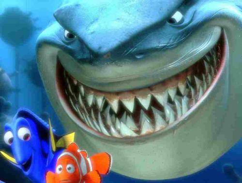 finding nemo - Bruce the Shark close up in Finding nemo