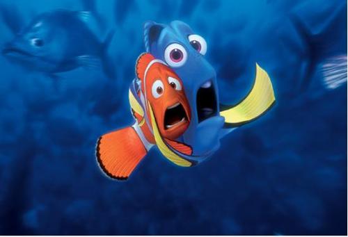 finding nemo - Marlin and Dory screaming in movie finding nemo