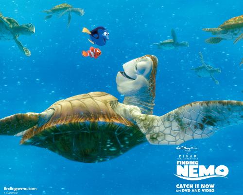 finding nemo - Crush the trutle close up in finding nemo