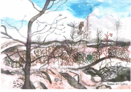Picture2 - It is my secod gift from my friend, Portugalese, a widow who spends her time to draw although she is a banker actually