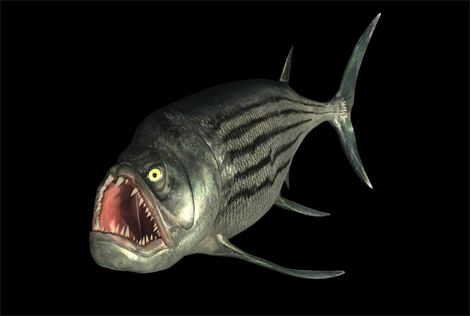 Animal - xiphactinus
