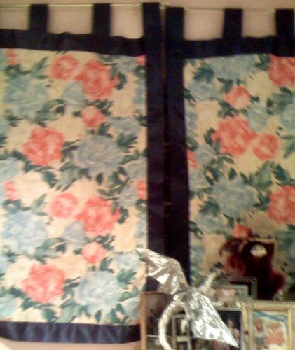 the curtains I made - I know the pix is a little out of focus, but I took it with my phone