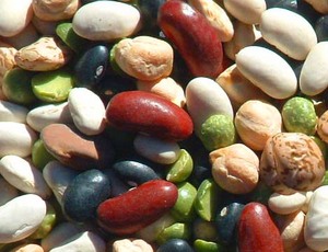 Mixed Legumes - Various types of legumes mixed together. Mixed Legumes - Various types of legumes mixed together.