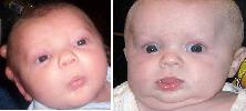 Heres what they both look like as babys - Can you tell their from the same momma and dadda? They are!