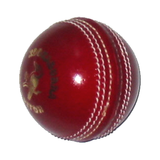 Cricket Ball - Shiny Cricket Ball