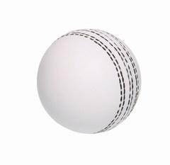 Cricket Ball - Mini White Cricket Ball