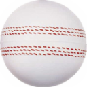 Cricket Ball - White Cricket Ball with red Seam
