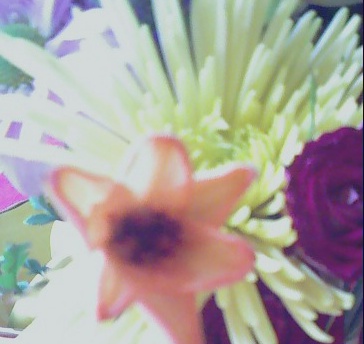 flowers - misc