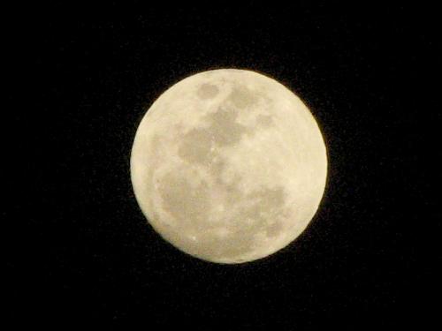 Moonshot - I don't use some lens for this shot. It's just my Canon S3 IS here. ;-)