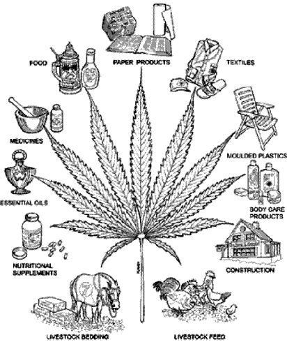 marijuana comspiracy - the marijuana comspiracy