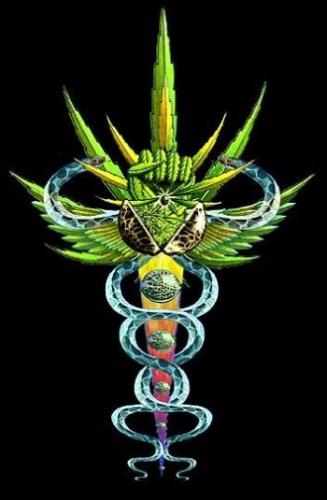medical marijuana - the coolest image for medical marijuana