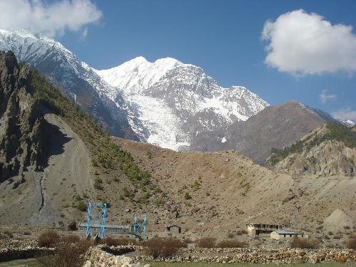 Photo of Mustang - Picture of Mustang