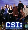 My Favorite TV Show - I love CSI