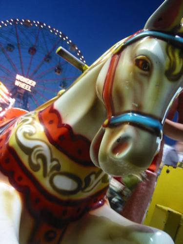 Carosel - Fairs and carnivals are great fun. The carosel ponies are so pretty.