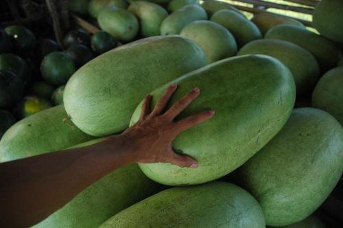 Watermelon - This was the big variety of watermelon. This was from the street of Pampanga when we were going back to Manila.