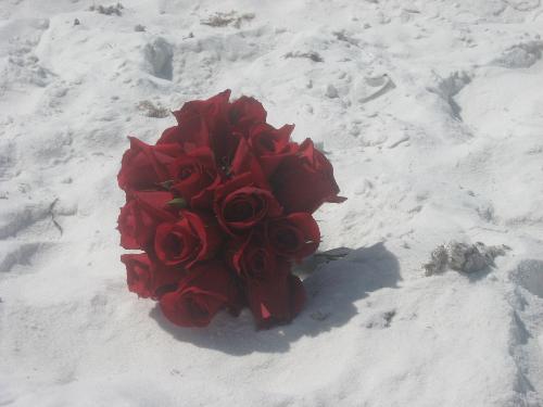 flowers, wedding bouquet - wedding bouquet on the beach flowers, wedding bouquet - wedding bouquet on the beach