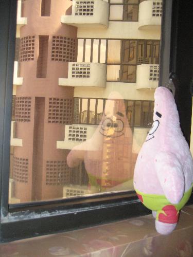 Patrick looking out the window - We just moved-in in our new apartment, and I was so tired from fixing our things, so I played with my brother's patrick stuffed toy. I posed him and took pictures of him looking out the window ( the story is that patrick is getting suicidal), I also took a picture of him hanging from the window, but that would be too gory to post here. LOL.