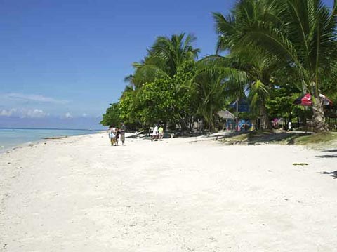  very nice white sand  - Dumaluan beach resort found at Panglao Bohol, Philippines.
This is one of the beautiful beaches here in Bohol,