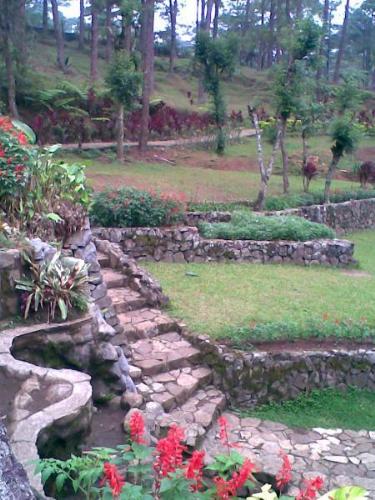 botanical garden, baguio - ...
